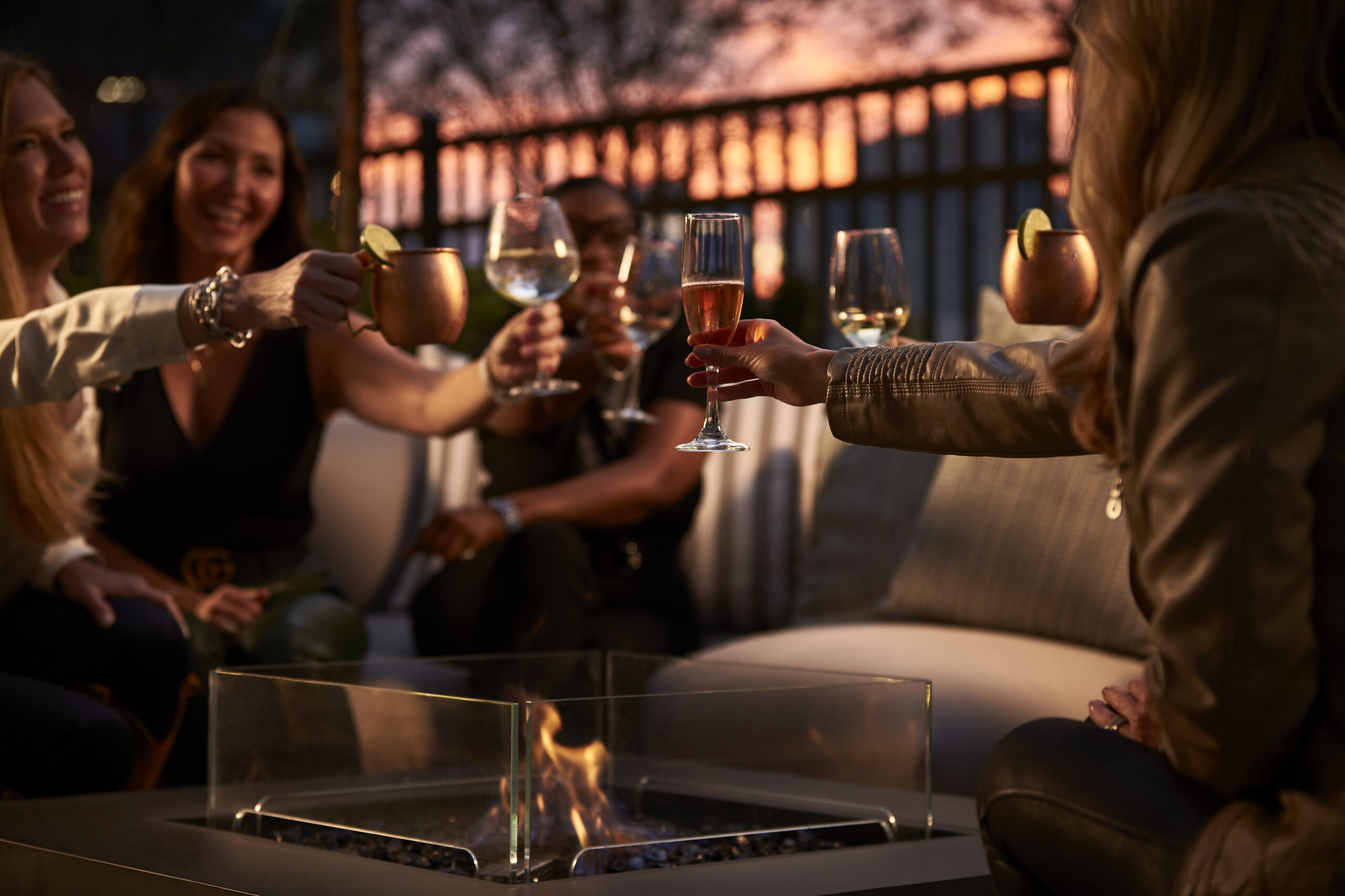 Group of friends toasting drinks.